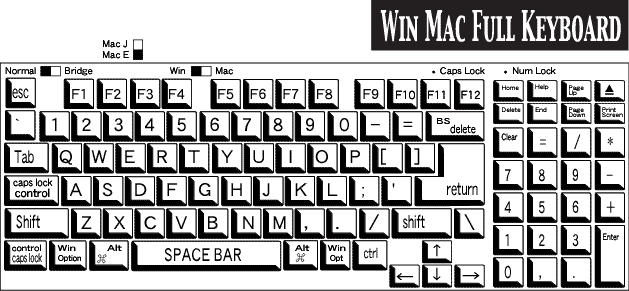 WindowsMacintoshpL[{[h
